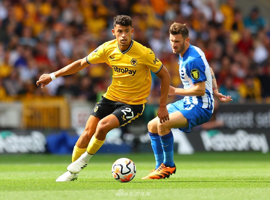 在多个国家 在多个国家